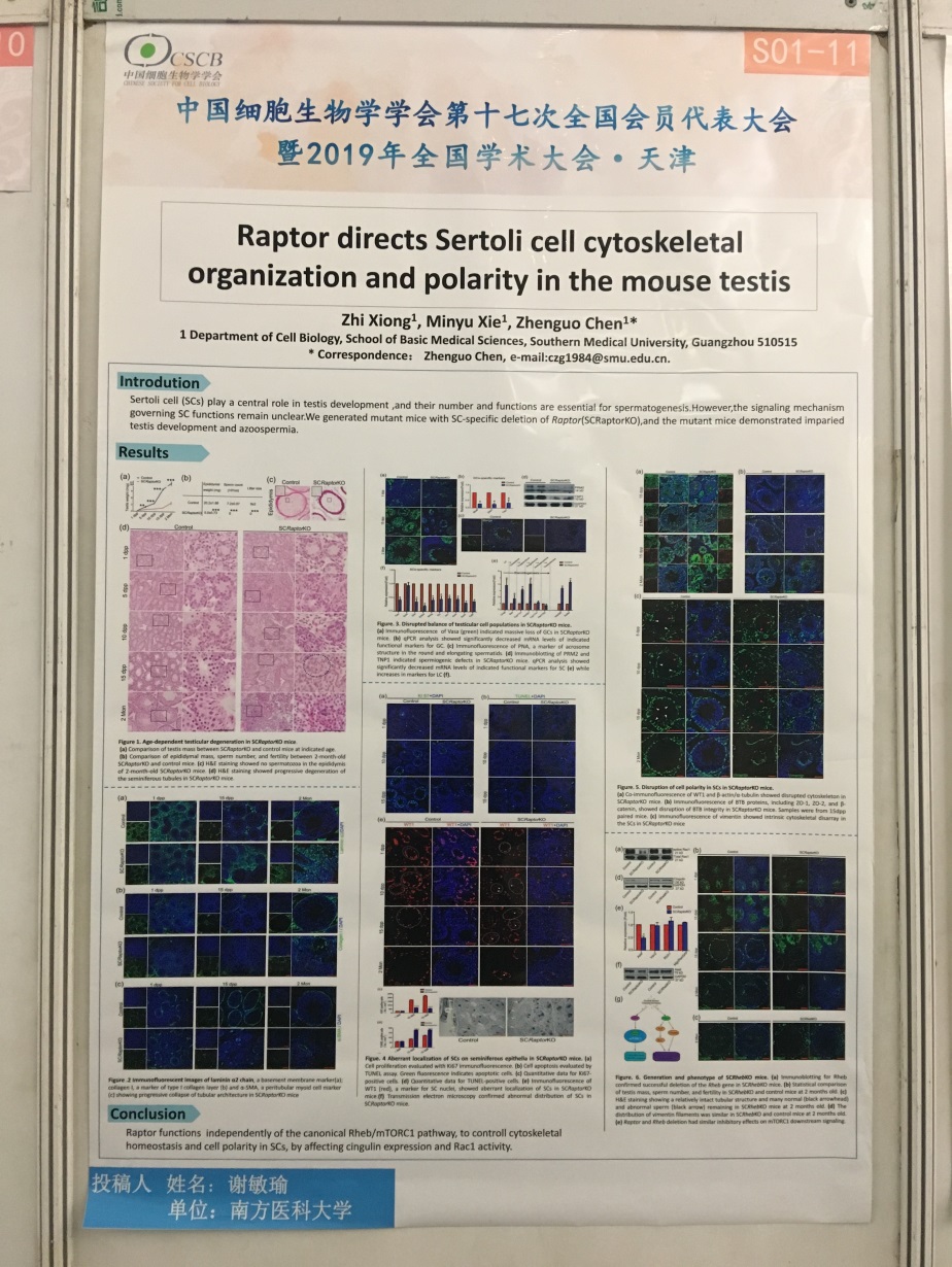 中国细胞生物学学会2019年全国学术大会上作分会场报告并获得优秀墙报