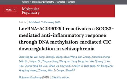 赵存友教授团队在molecularpsychiatry上发表精神分裂症发生新机制