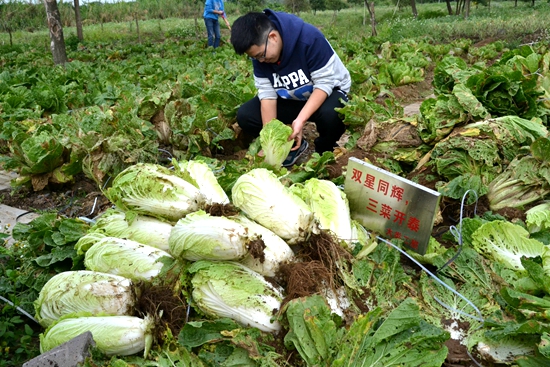 社会实践基地劳作成果.jpg