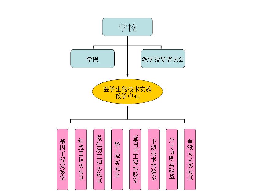 組織機構-南方醫科大學醫學生物技術教學實驗中心